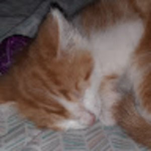 Meet your Posher, Mariah